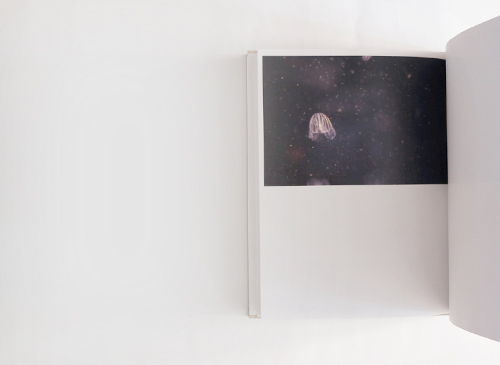 Rinko Kawauchi / Terri Weifenbach: Gift