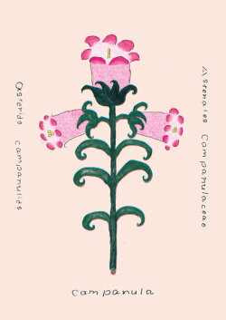 大塚文香「plants vegetable vase」