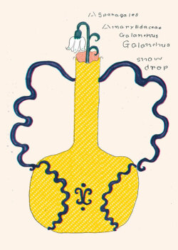 大塚文香「plants vegetable vase」