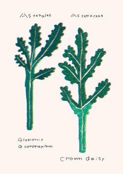 大塚文香「plants vegetable vase」