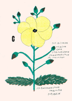 大塚文香「plants vegetable vase」