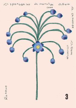 大塚文香　3 : 3