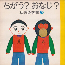 幼児の学習