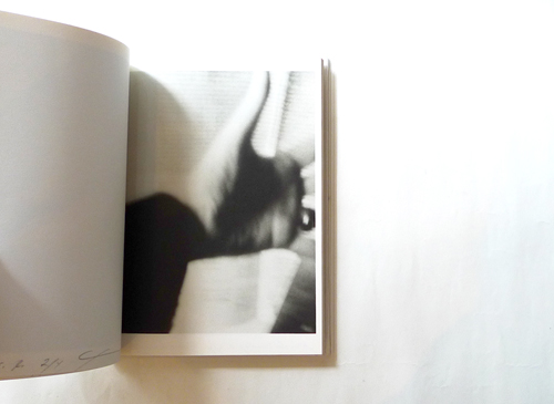 Patti Smith: Cross Section