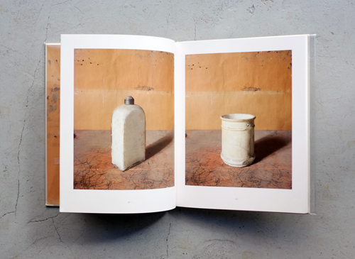 Joel Meyerowitz: Morandi's Objects