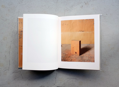 Joel Meyerowitz: Morandi's Objects
