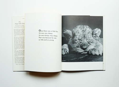 Ylla & Margaret Wise Brown: The Sleepy Little Lion
